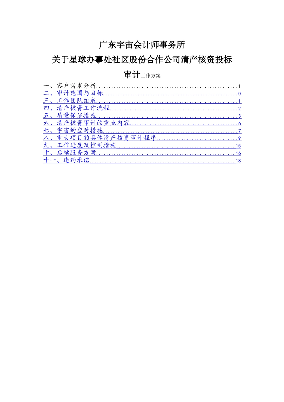 清产核资投标用审计工作方案_第1页