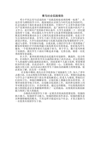 湖南青马社会实践报告