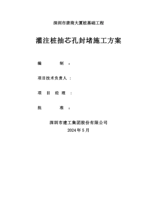 灌注桩抽芯孔封堵施工方案