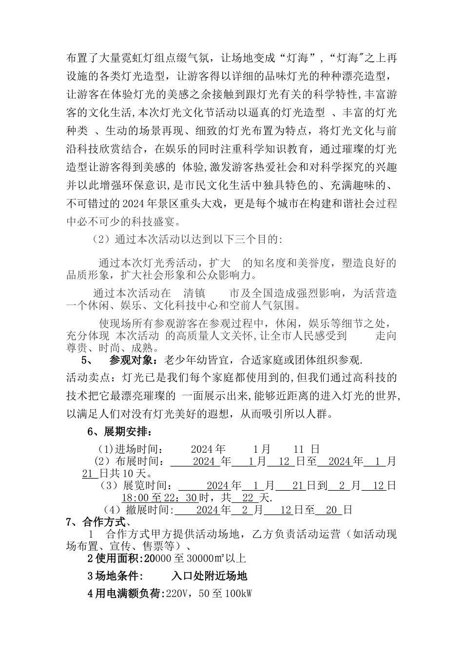 灯光节策划方案_第3页