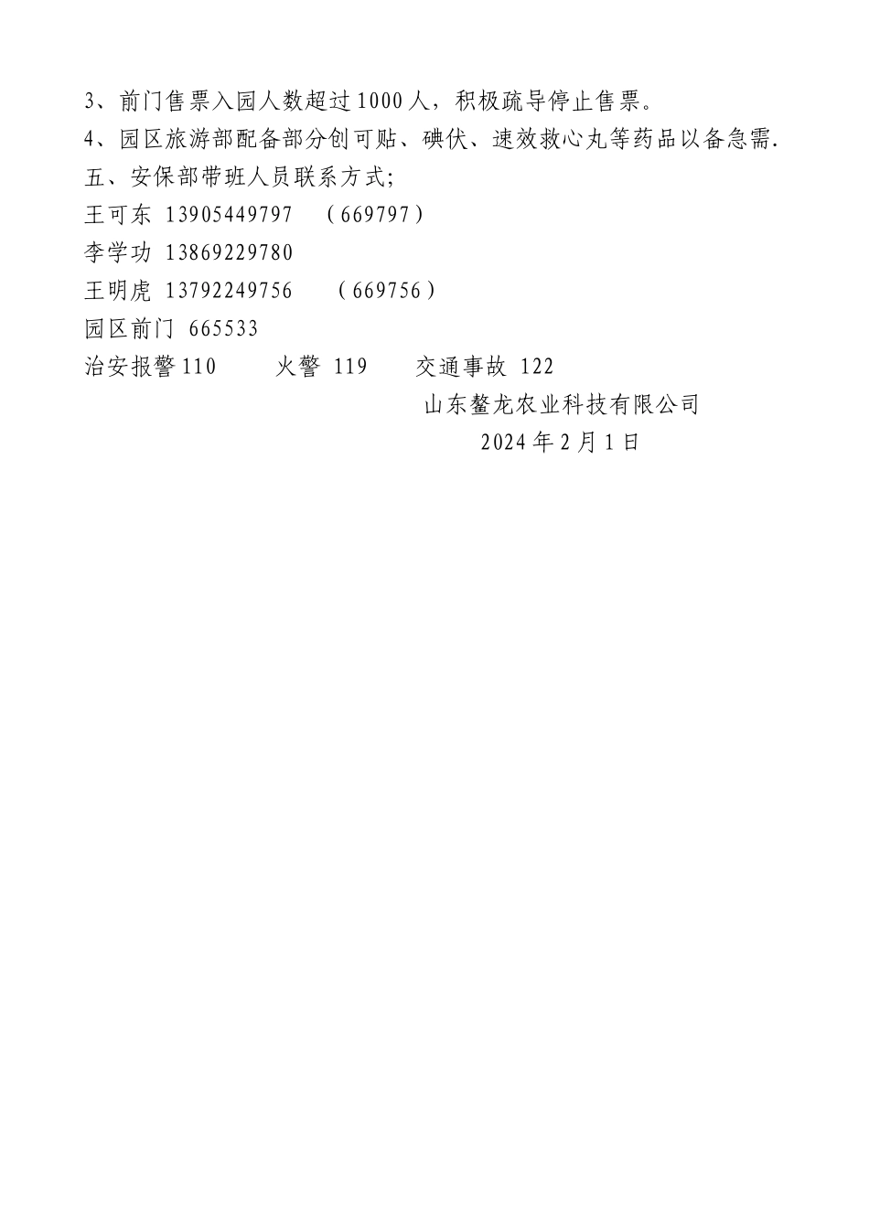 灯光节安保方案_第2页