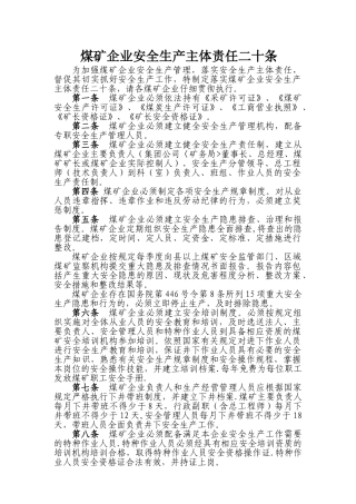 煤矿企业安全生产主体责任二十条
