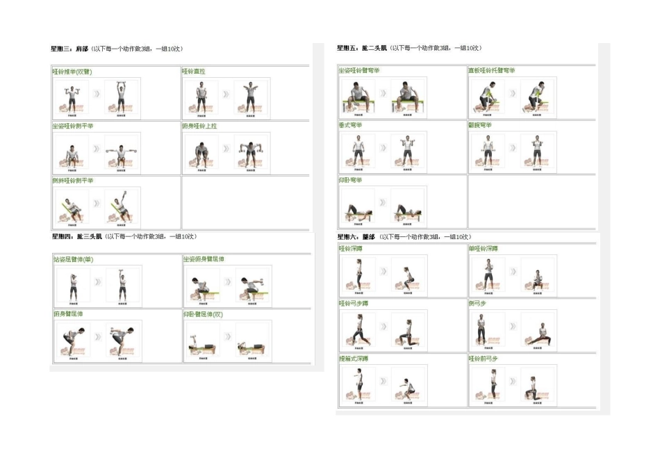 2025年全套哑铃健身计划系列_第3页