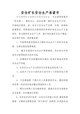 煤矿副矿长及矿管理人员安全生产承诺书