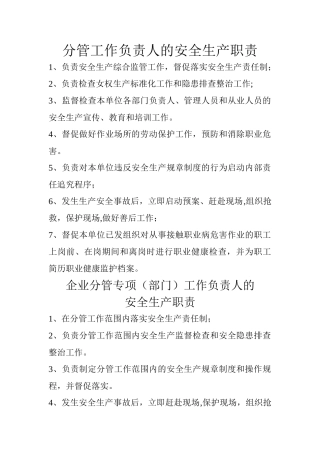 煤矿分管工作负责人的安全生产职责