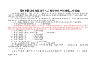 煤矿安全生产标准化总结