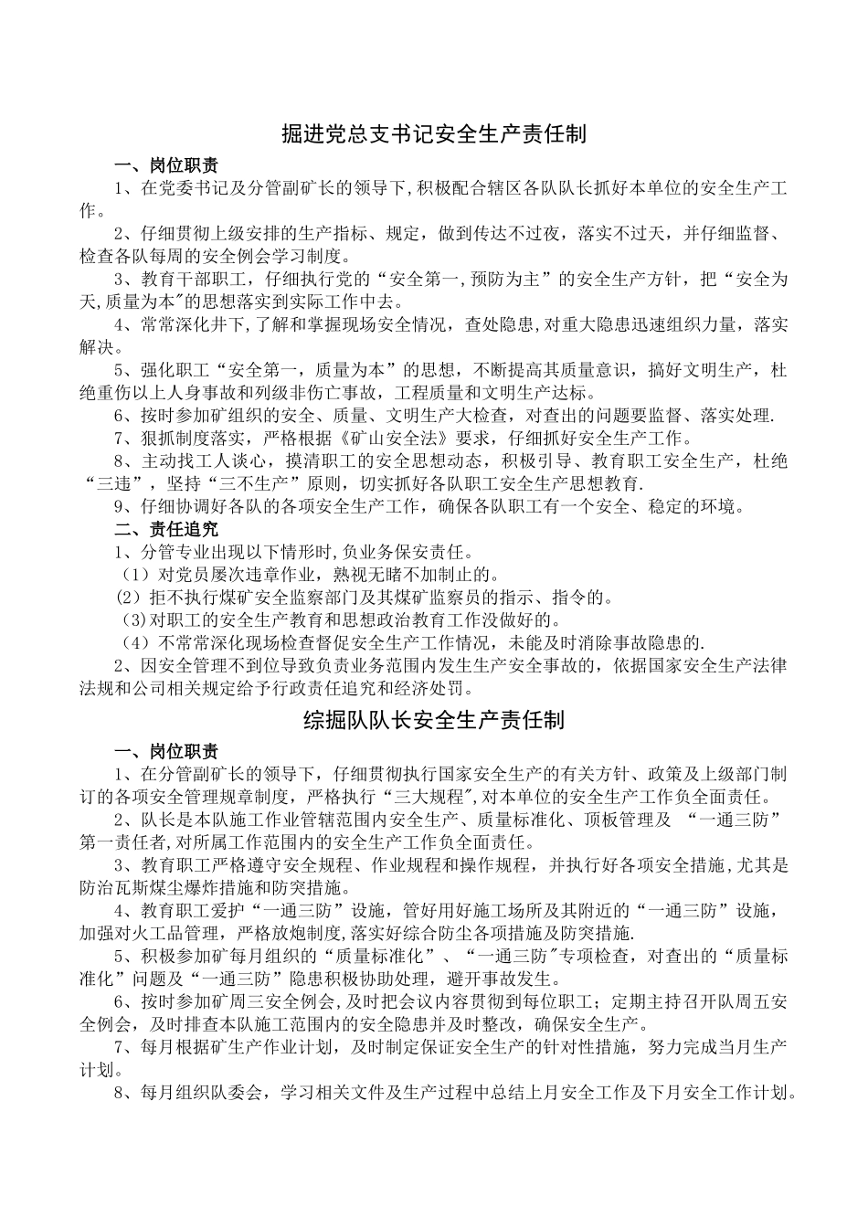 煤矿掘进区队安全生产责任制_第1页