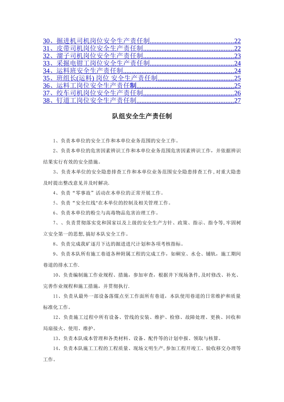 煤矿综掘队安全生产责任制_第2页