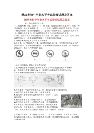 2025年潍坊市初中学业水平考试物理试题及答案
