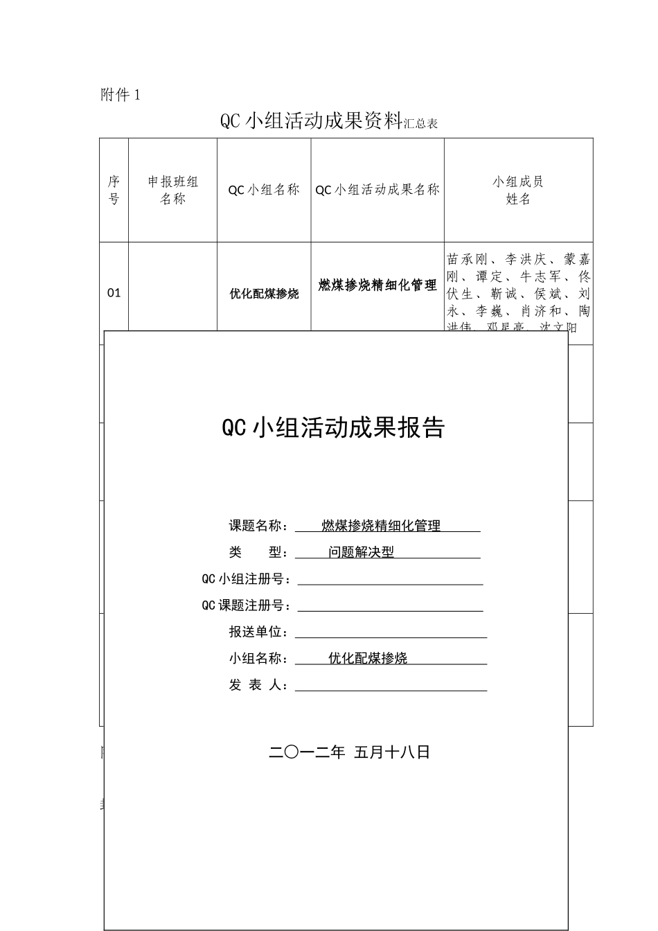 燃煤掺烧精细化管理_第1页