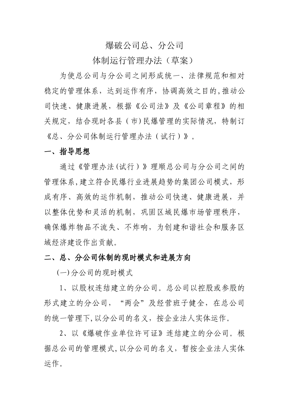 爆破公司分公司管理办法_第1页