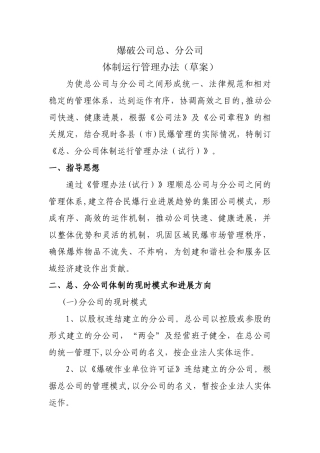 爆破公司分公司管理办法