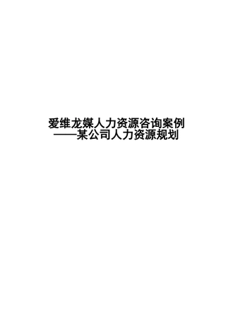 爱维龙媒人力资源咨询案例——某公司人力资源规划