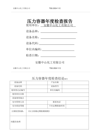特种设备年度检查报告