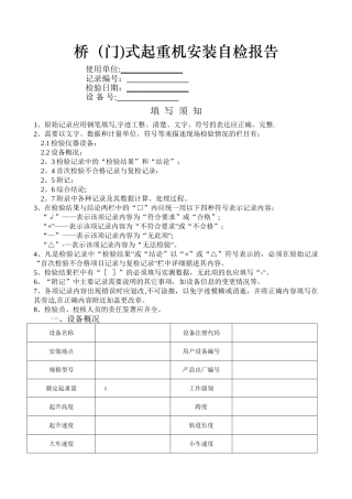 特种设备自检报告