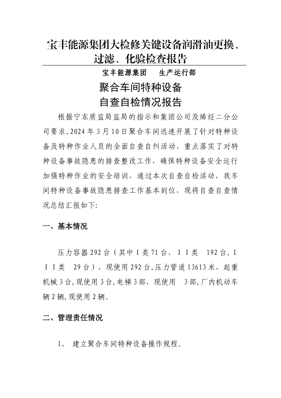 特种设备自检自查报告(1)_第1页