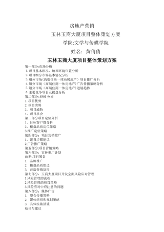 玉林玉商大厦项目整体策划方案