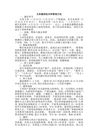 玉米栽培技术和管理方法