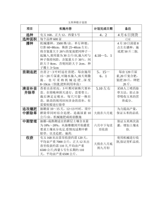 玉米种植计划表