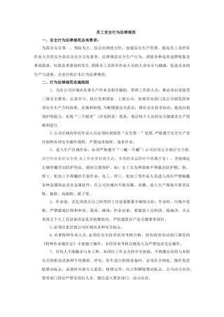 现代企业员工安全生产行为规范DOC
