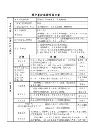 现场处置方案.样本