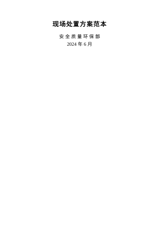 现场处置方案范本