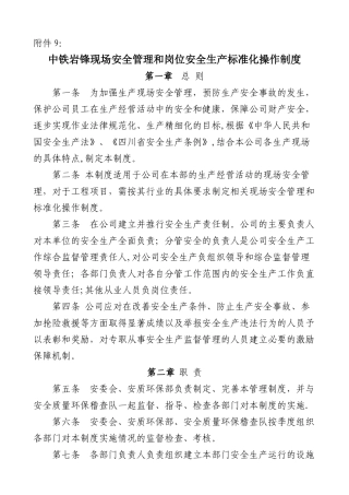 现场安全管理和岗位安全生产标准化操作制度