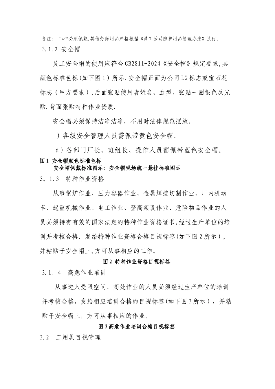 现场安全目视化管理标准_第2页