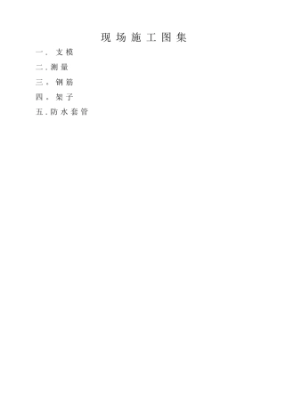 现场施工图集