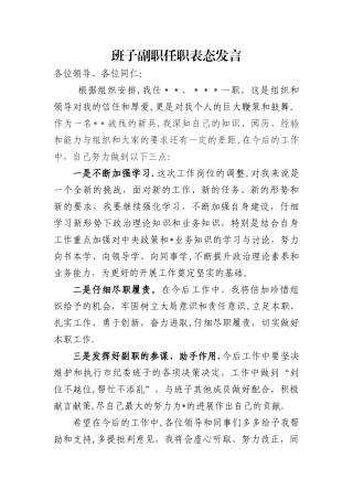 班子副职任职表态发言