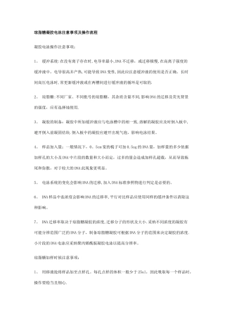 琼脂糖凝胶电泳注意事项及操作流程