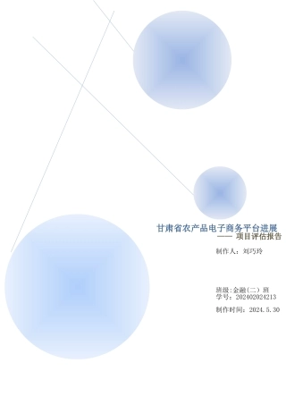 甘肃省发展农村电子商务的可行性分析报告