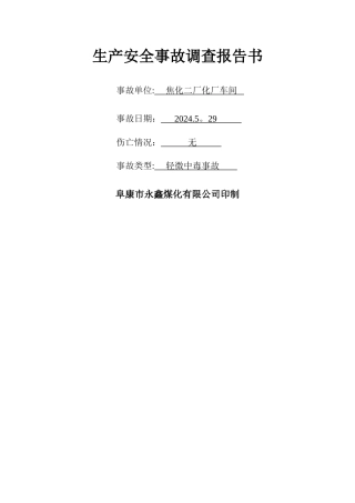 生产安全事故调查报告书