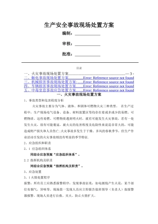 生产安全事故现场处置方案