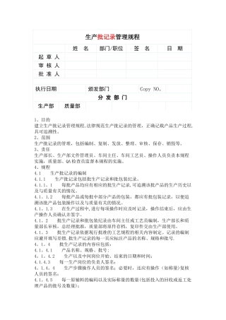 生产批记录管理规程
