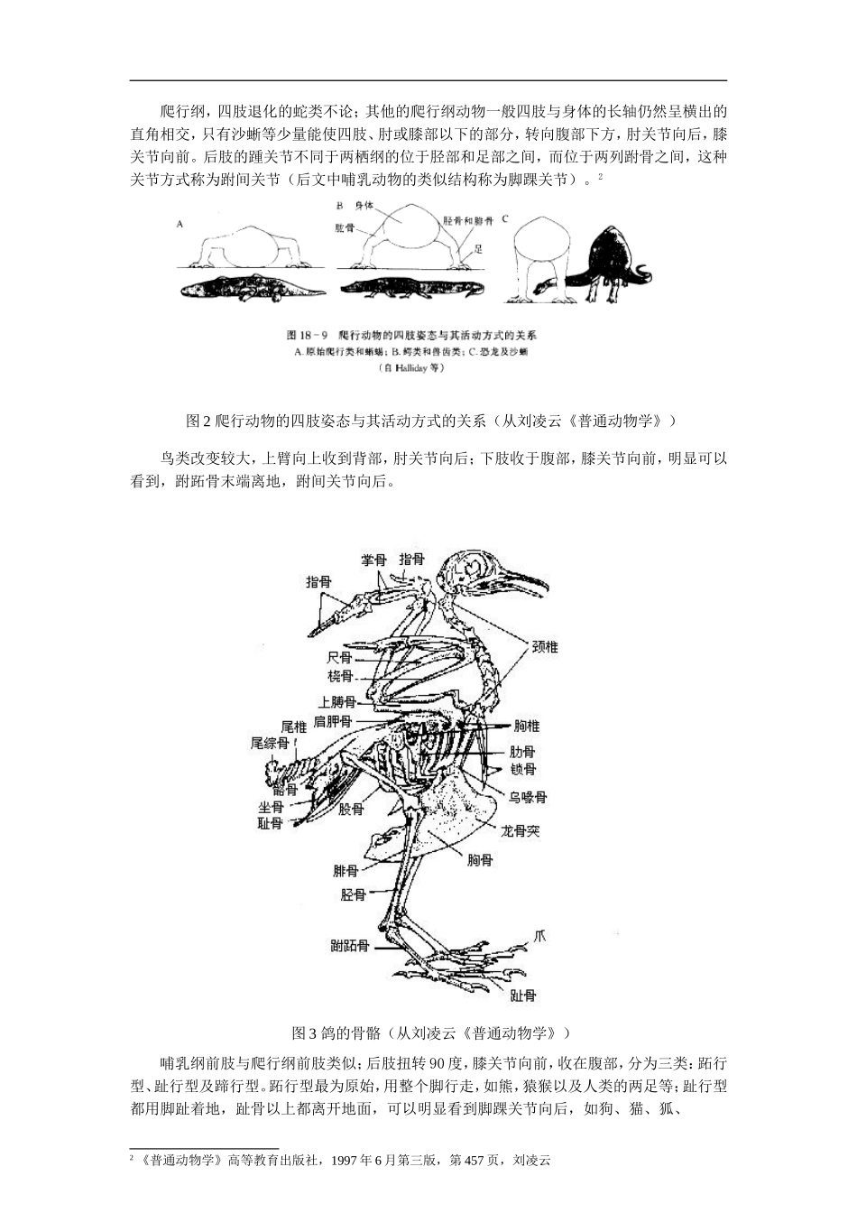 动物附肢关节结构的分析和进化过程推演分析研究  遗传学专业_第2页