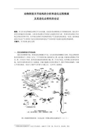 动物附肢关节结构的分析和进化过程推演分析研究  遗传学专业