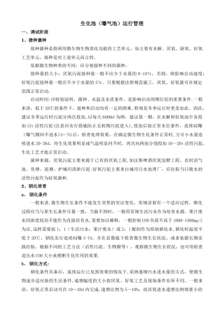 生化池运行管理