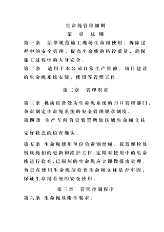 生命绳管理细则