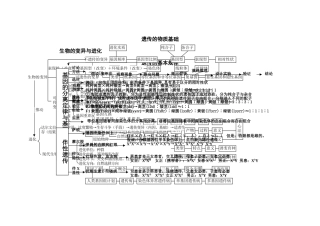 生物的必修2思维导图