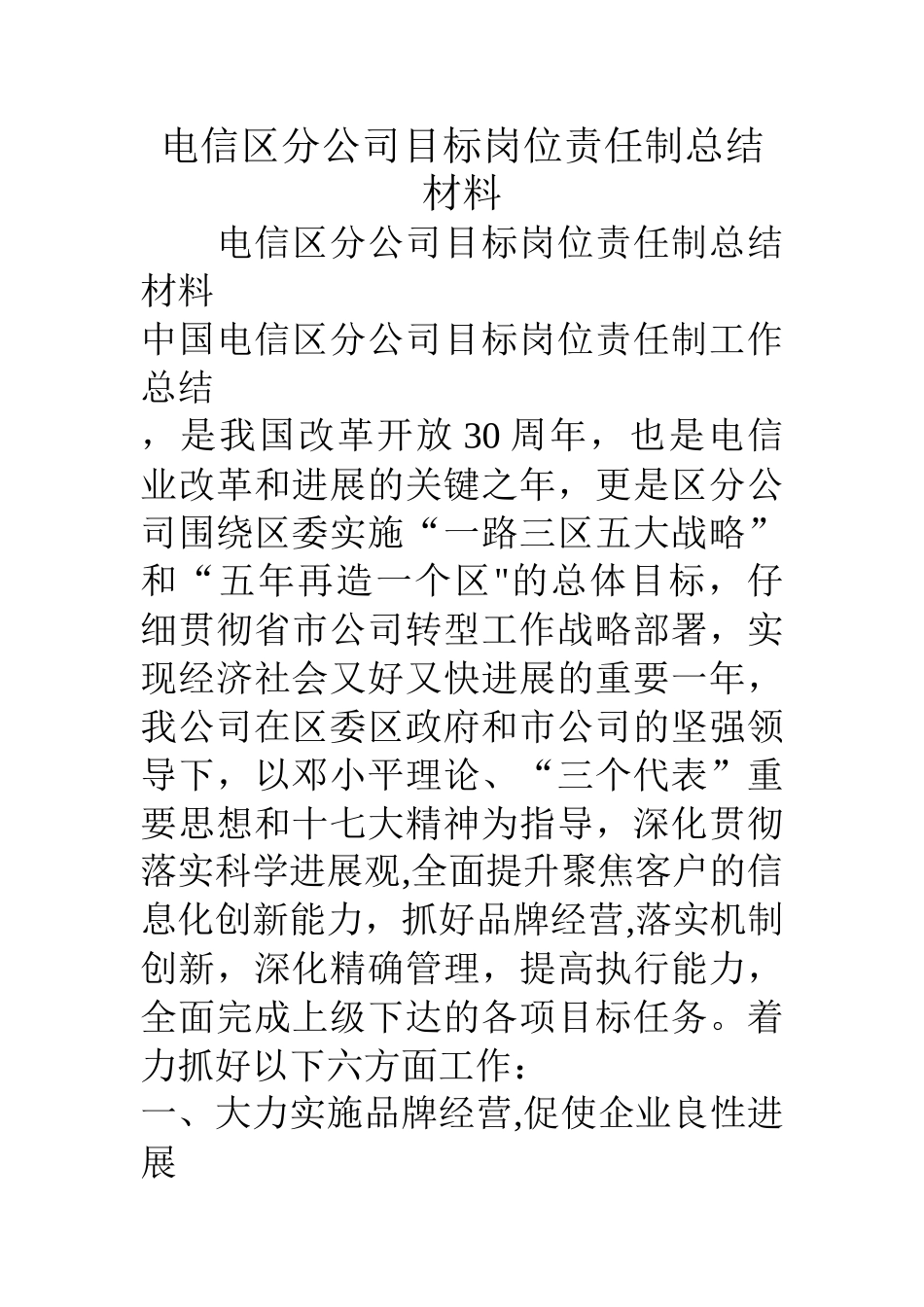 电信区分公司目标岗位责任制总结材料_第1页