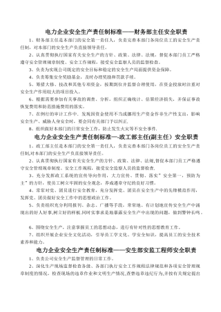 电力企业安全生产责任制标准