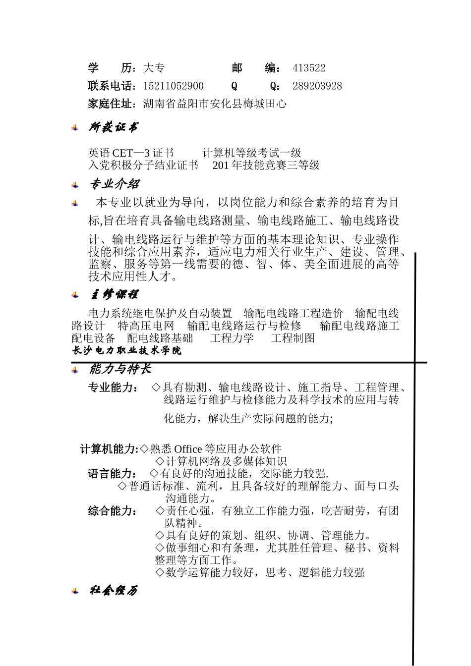电力行业个人简历_第2页