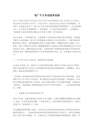 电厂个人专业技术总结