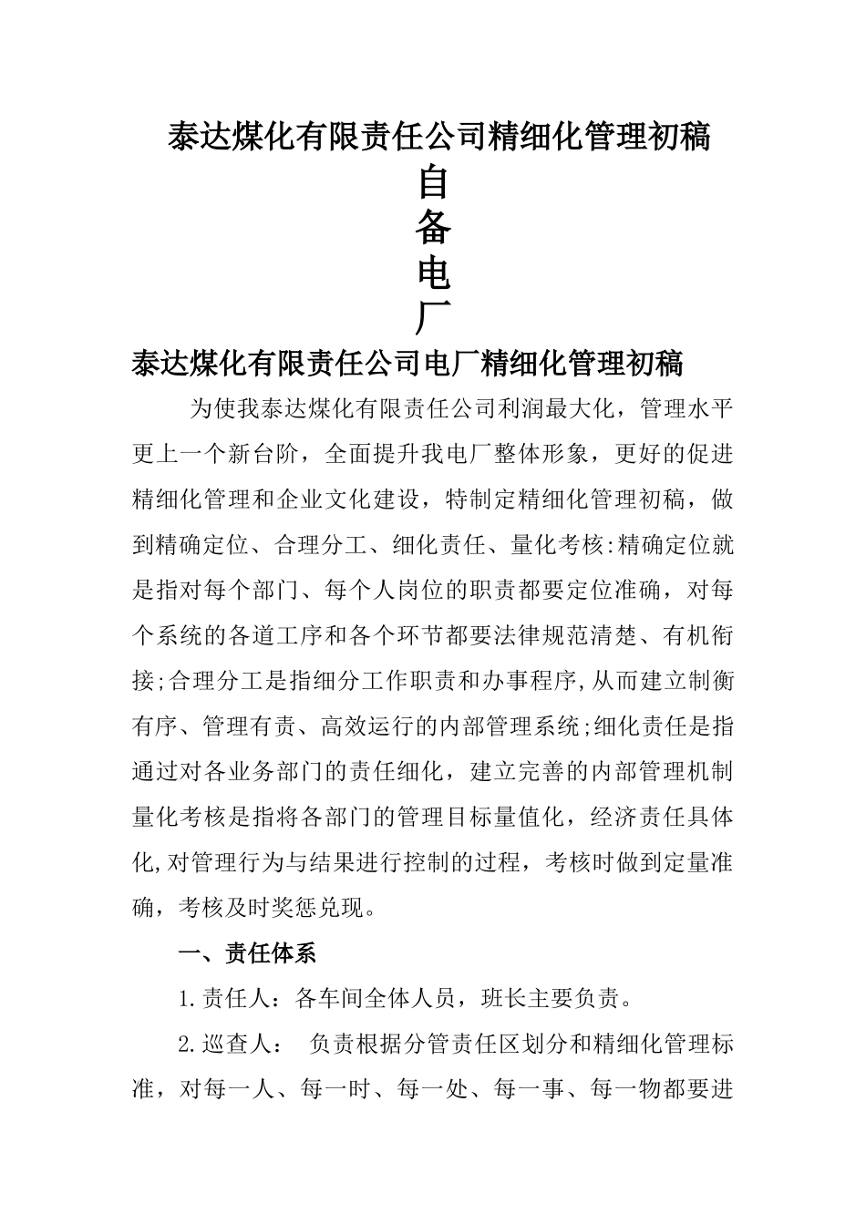 电厂精细化管理细则_第1页