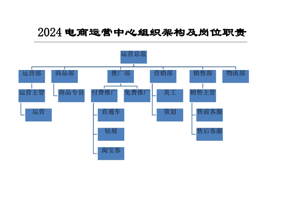 电商运营中心组织架构及岗位职责_第1页