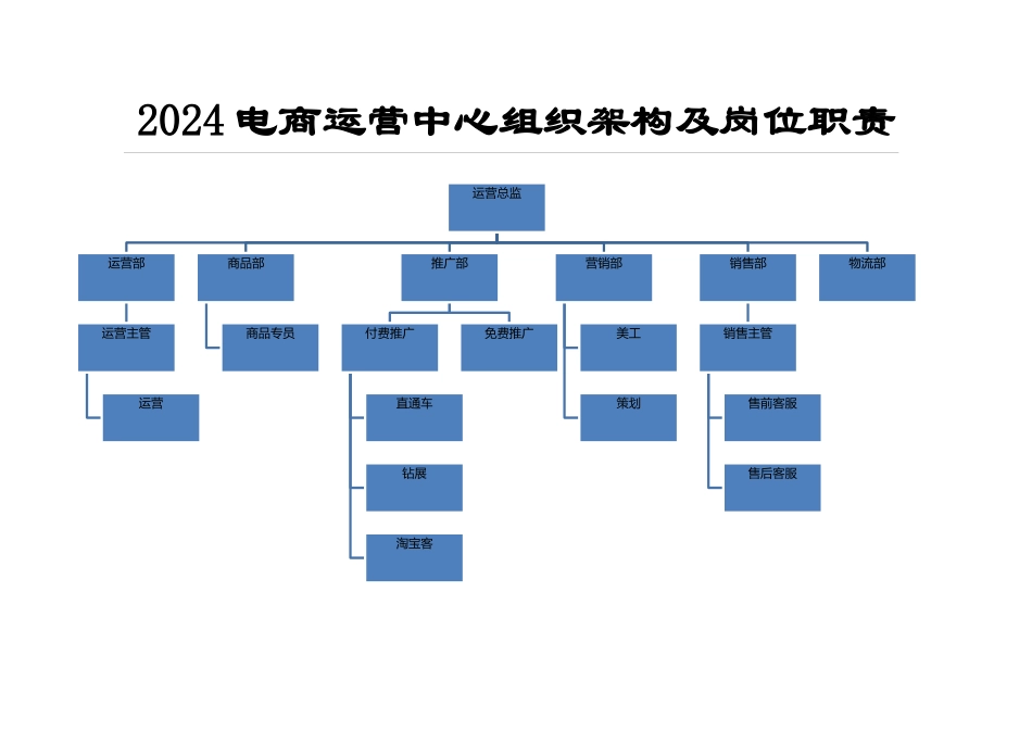 电商运营中心组织架构及岗位职责_第1页