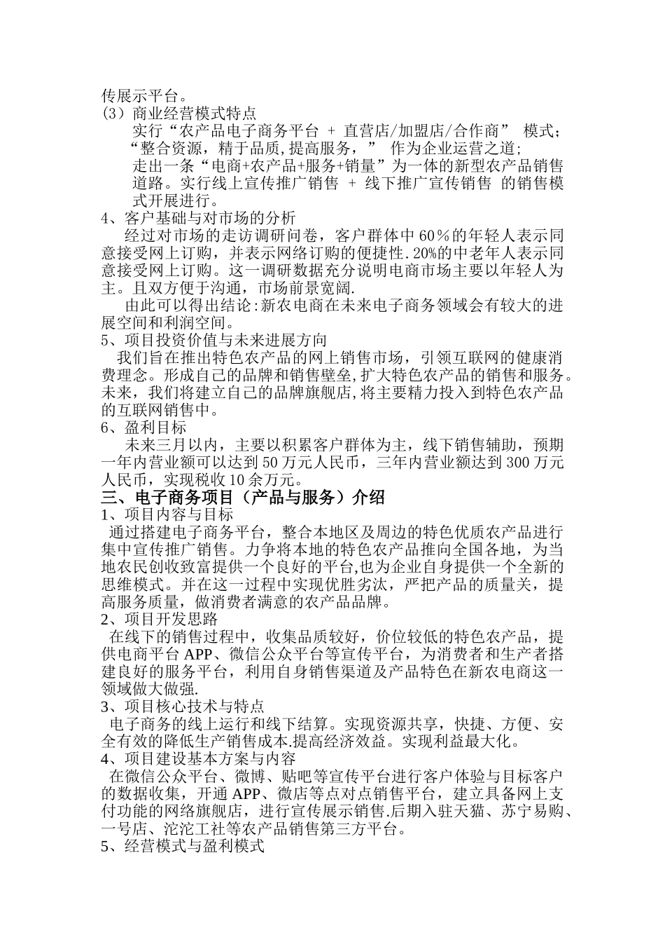 电商项目计划书_第3页