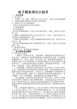 电商项目计划书