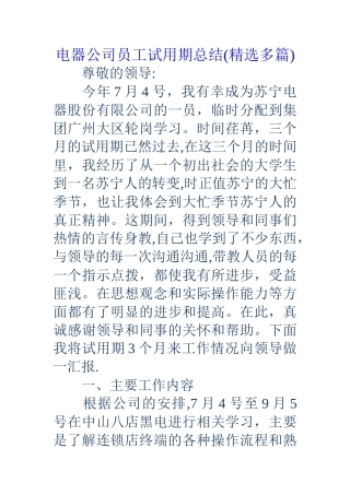 电器公司员工试用期总结(精选多篇)